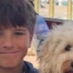 Boy, 12, who had both legs mauled by shark ‘is brain dead & will never wake up’ after horror attack near terrified pals