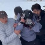 Skier mauled by wild snow leopard & left with blood pouring from her face after moving closer to take photo of beast
