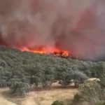 Watch giant ‘fire tornado’ on path of destruction as ‘state of disaster’ declared & three missing in Australia wildfires