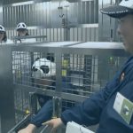 Bizarre moment Japanese zoo staff dress up and pretend to be pandas after bears are sent back to China