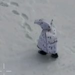 Shocking moment another Russian ‘penguin’ soldier is blown up on the battlefield while wearing bizarre anti-drone camo