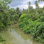 Schoolboy, 14, mauled to death by crocodile in river after beast pounced in front of teen’s horrified friends