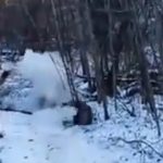 Shocking moment North Korean soldier fighting for Putin in Ukraine is blown up by a landmine while sledging on the snow