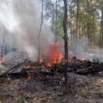 Two killed after fighter plane crashes into forest during training mission as vid shows smouldering wreckage