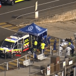 Boy, 12, fighting for life after large shark severely mauled both his legs as he played with friends on popular beach