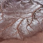 How to Save the Colorado River