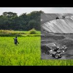 The Phosphorus Paradox