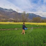 A Long Gulf War Can Starve the World. A Hormuz Transit Deal Could Save Millions.