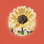 Why You Should Stop and Smell a Flower For Just 30 Seconds